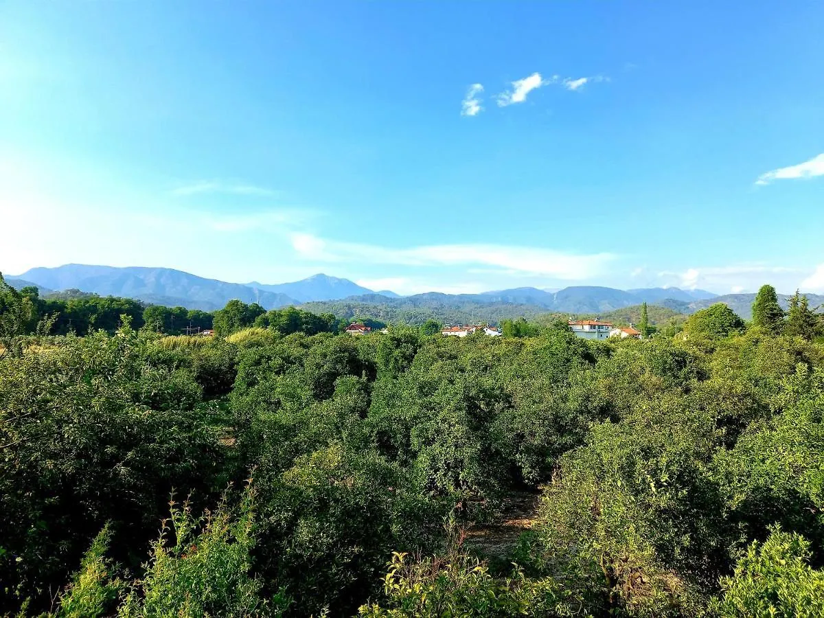 Sun Zuma Ja Apartment Fethiye 0*,