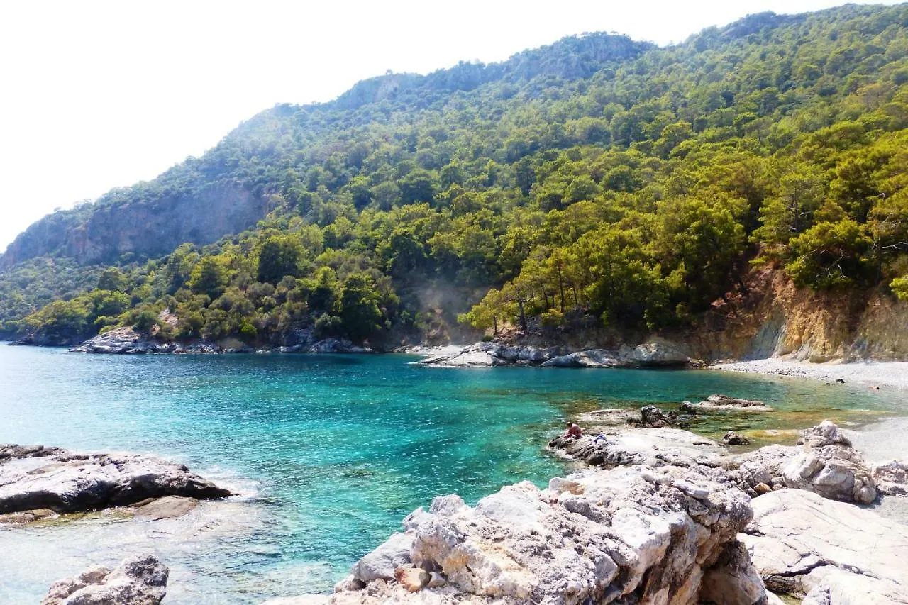 Sun Zuma Ja Apartment Fethiye